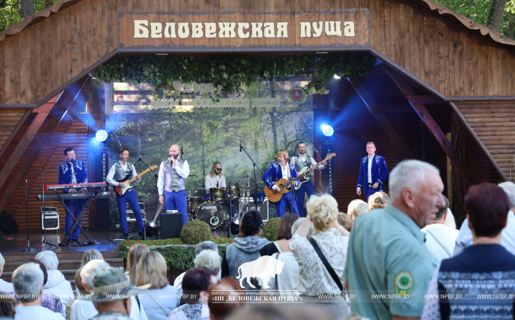 Как прошёл День работников леса 2025