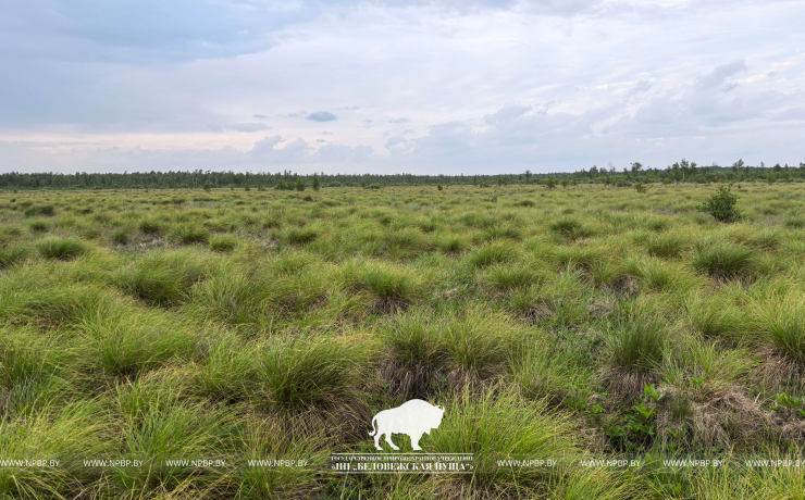 Всемирный день водно-болотных угодий