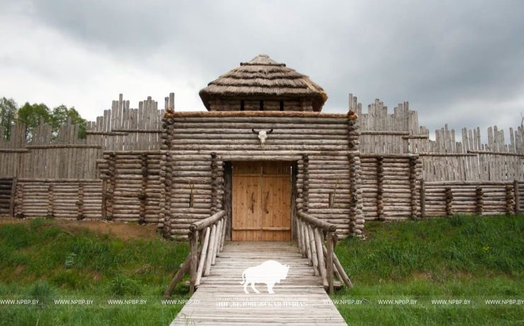 Открылся долгожданный археологический музей под открытым небом в Национальном парке «Беловежская пуща»