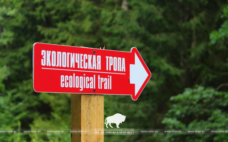Дакудава