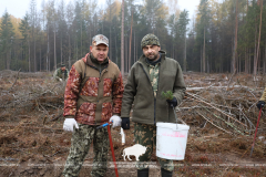 Посадка лесных культур в рамках акции  «Дай лесу новае жыццё!»