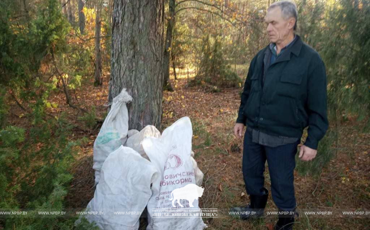 Проведение акции "Чистый лес" в ГПУ НП "Беловежская пуща"