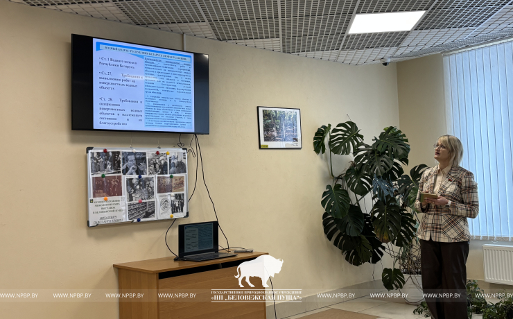 Научный семинар о восстановлении гидрологического режима