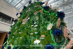 ВЫСТАВКА «МОЯ БЕЛАРУСЬ»