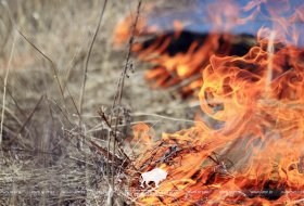 Начало пожароопасного сезона в Беловежской пуще