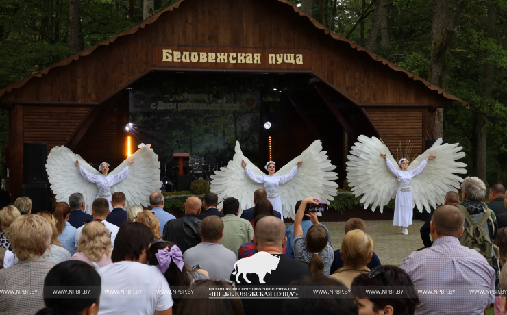 Как прошёл День работников леса 2025