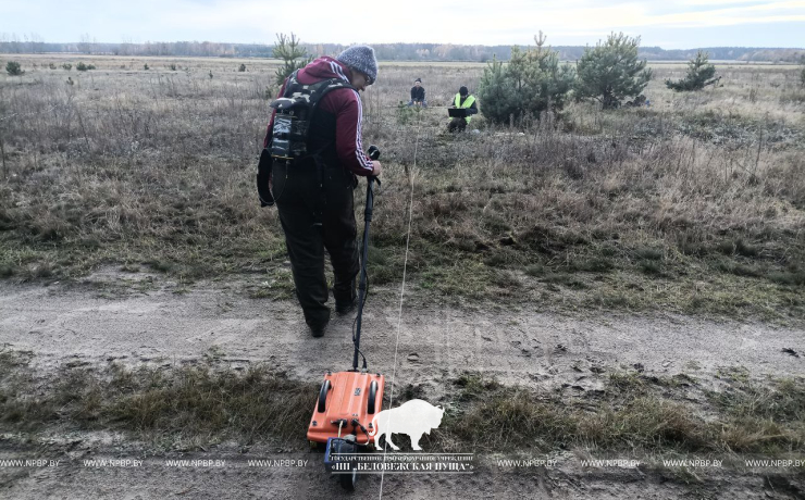 Тайны археологии Беловежской пущи раскрываются с помощью радиотехнического зондирования