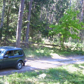 Средства фото-видео фиксации