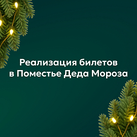 Реализация билетов в Поместье Деда Мороза