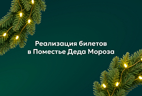 Реализация билетов в Поместье Деда Мороза