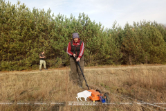 Тайны археологии Беловежской пущи раскрываются с помощью радиотехнического зондирования