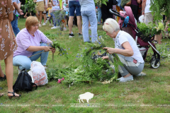 На Ивана на Купала ноченька мала…
