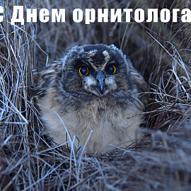 День орнитолога в Беловежской пуще