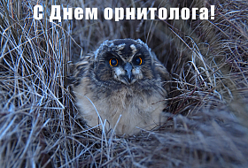 День орнитолога в Беловежской пуще