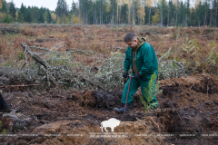 Работники ГПУ НП «Беловежская пуща» дали лесу новую жизнь